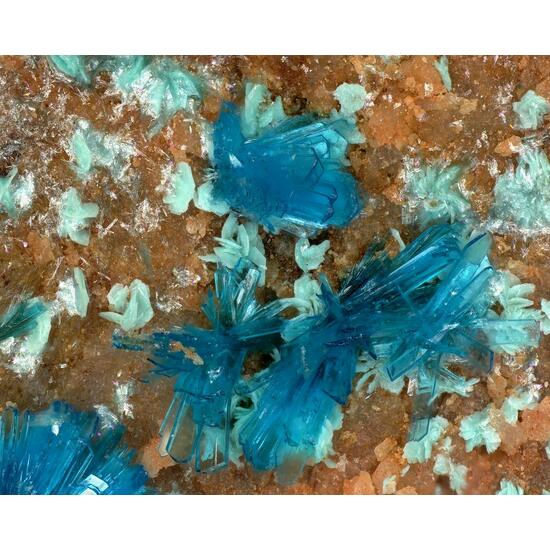 Serpierite & Schulenbergite