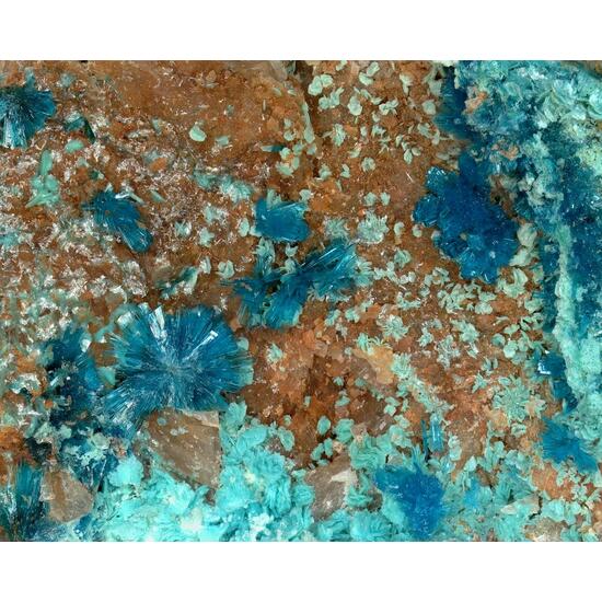 Serpierite & Schulenbergite