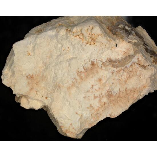 Anthoinite