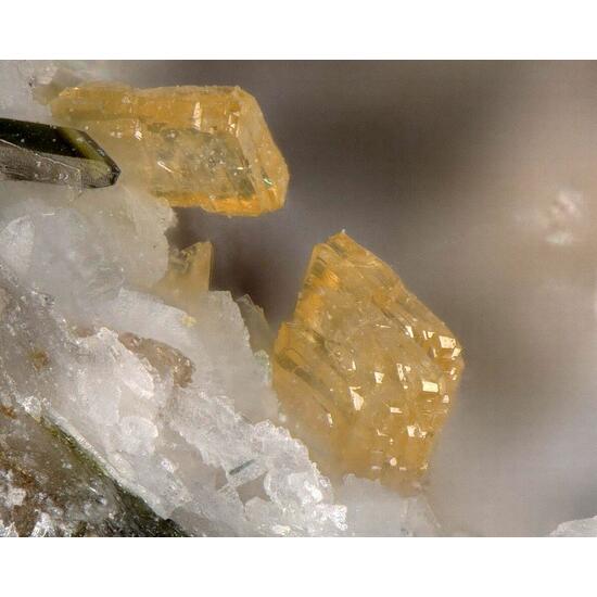 Tsepinite-Na & Labuntsovite-Mn