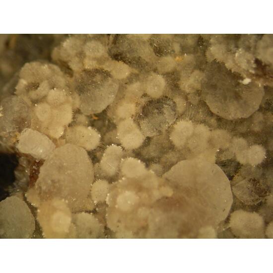 Thomsonite & Chabazite