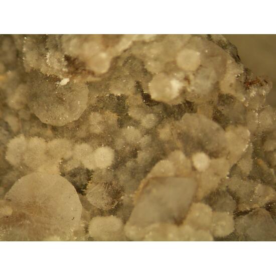 Thomsonite & Chabazite