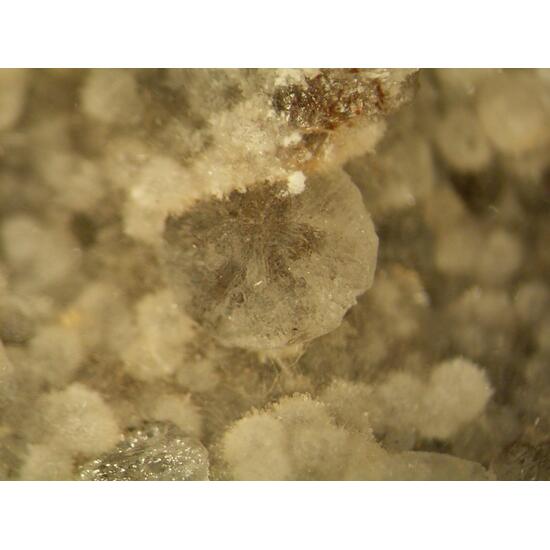 Thomsonite & Chabazite