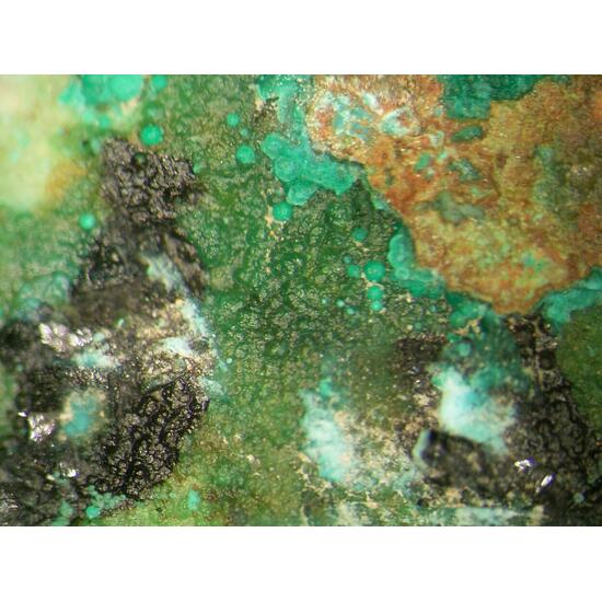 Zincolivenite & Azurite