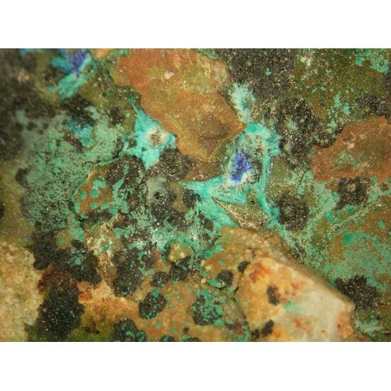 Zincolivenite & Azurite