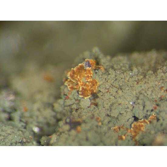 Cacoxenite & Arsenopyrite