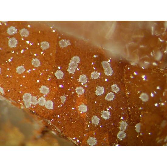 Scorodite & Bariopharmacosiderite