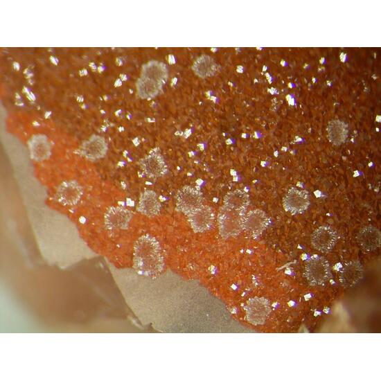 Scorodite & Bariopharmacosiderite