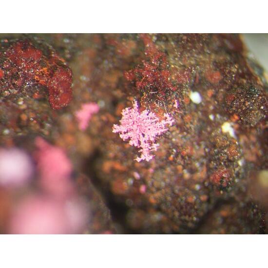 Cuprite