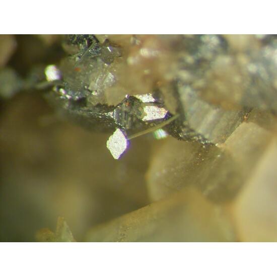 Gustavite & Arsenopyrite