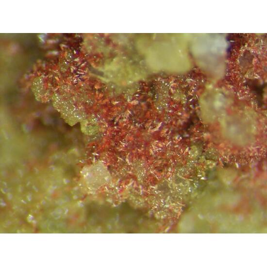 Carminite & Beudantite