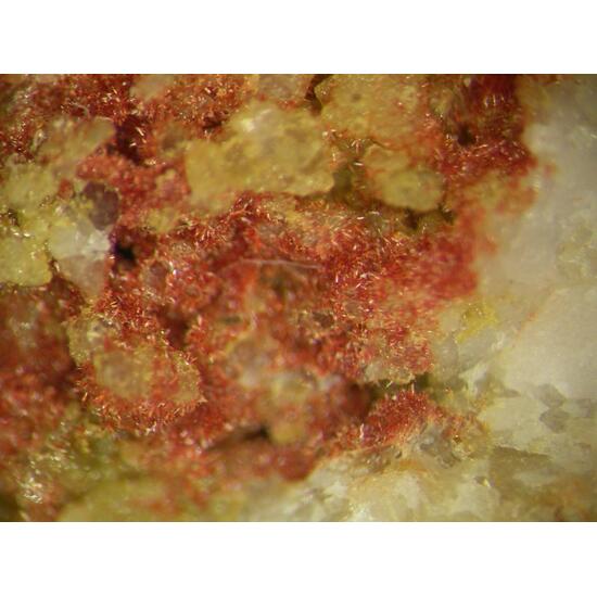 Carminite & Beudantite