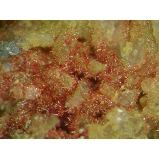 Carminite & Beudantite