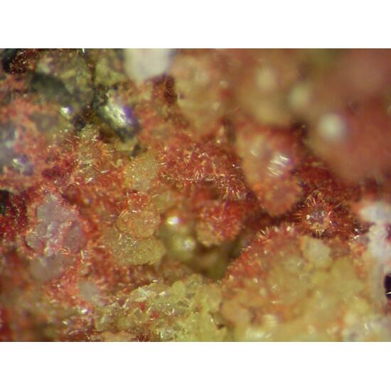 Carminite & Beudantite