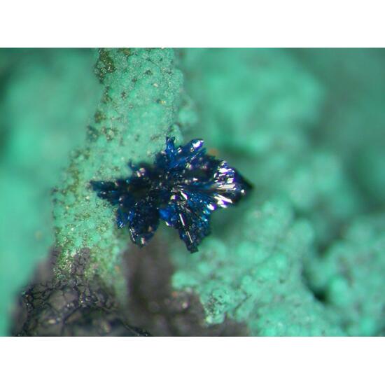 Clinoclase & Cornwallite