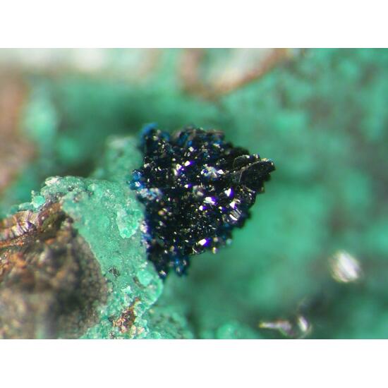 Clinoclase & Cornwallite