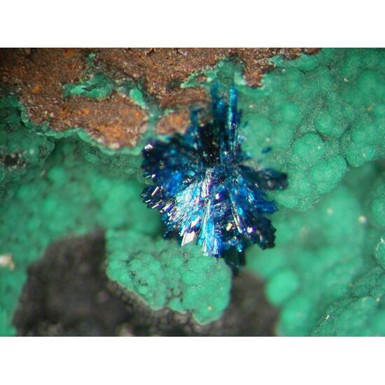 Clinoclase & Cornwallite