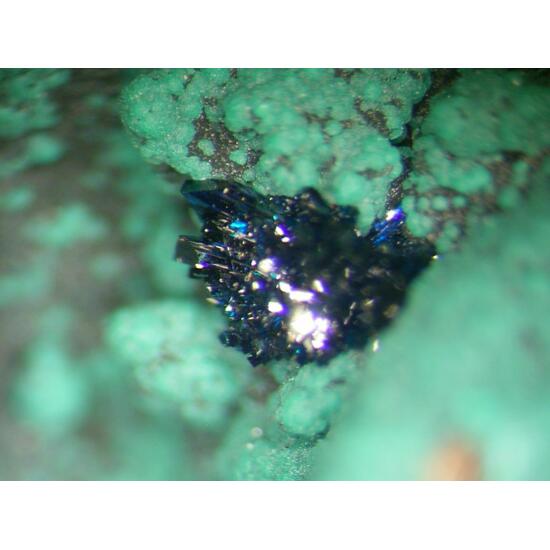 Clinoclase & Cornwallite