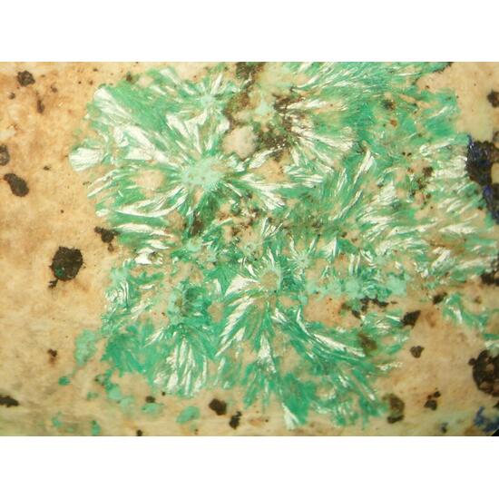 Theisite Psm Tyrolite