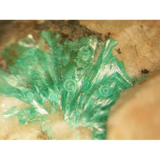 Theisite Psm Tyrolite