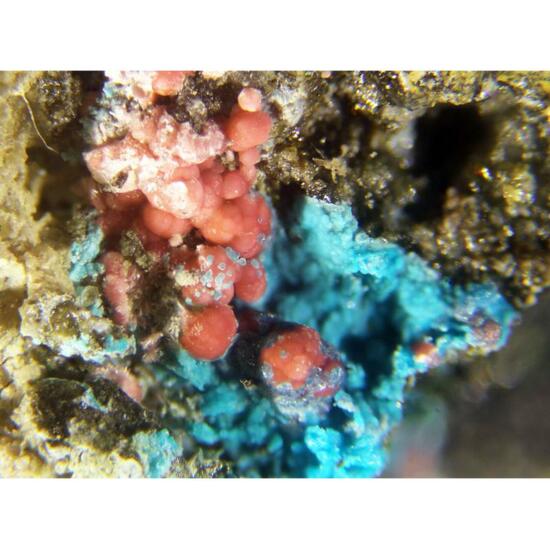 Shubnikovite & Erythrite