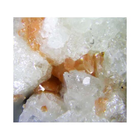 Hilgardite & Boracite