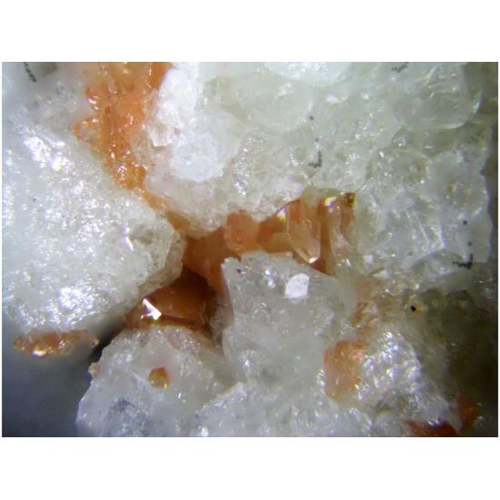 Hilgardite & Boracite