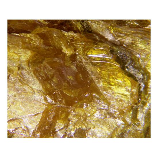 Rankamaite & Thoreaulite