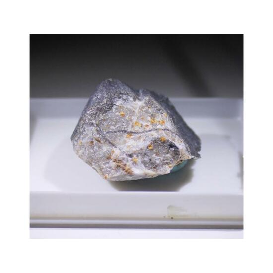 Scheuchzerite