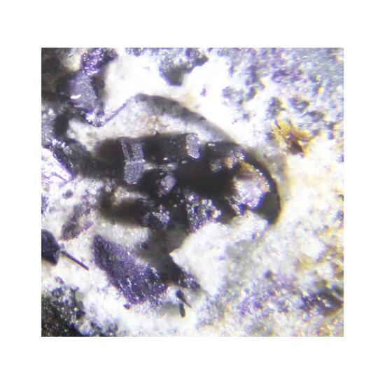 Tuhualite & Narsarsukite