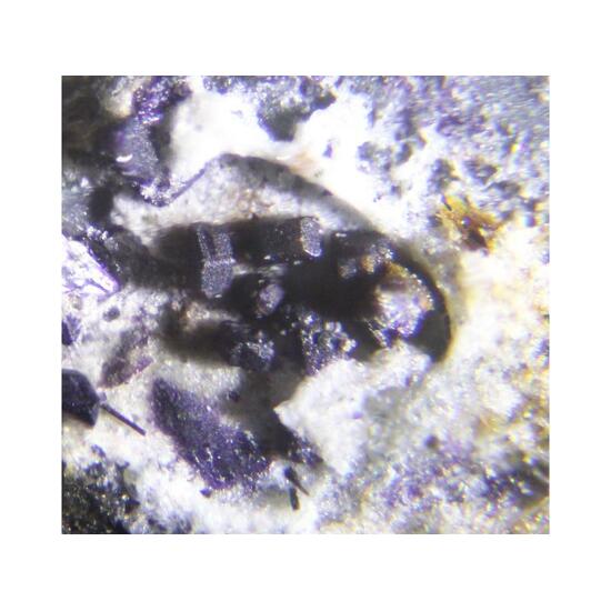 Tuhualite & Narsarsukite