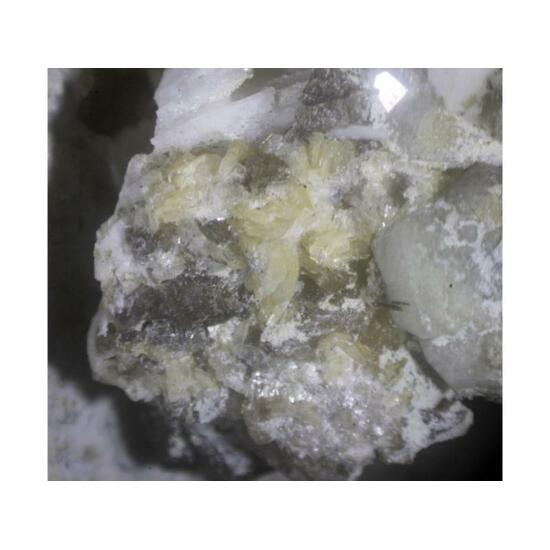 Sabinaite & Franconite