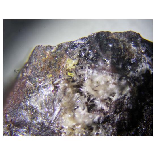 Seamanite & Shigaite & Pyrobelonite