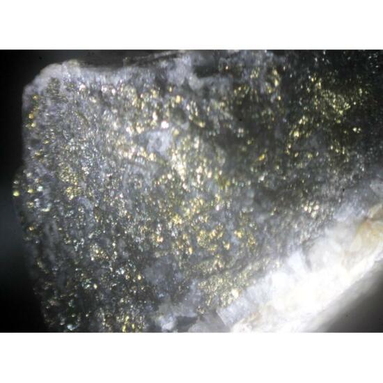 Calaverite Sylvanite & Gold