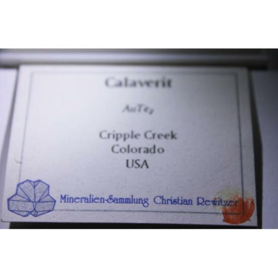 Calaverite Sylvanite & Gold