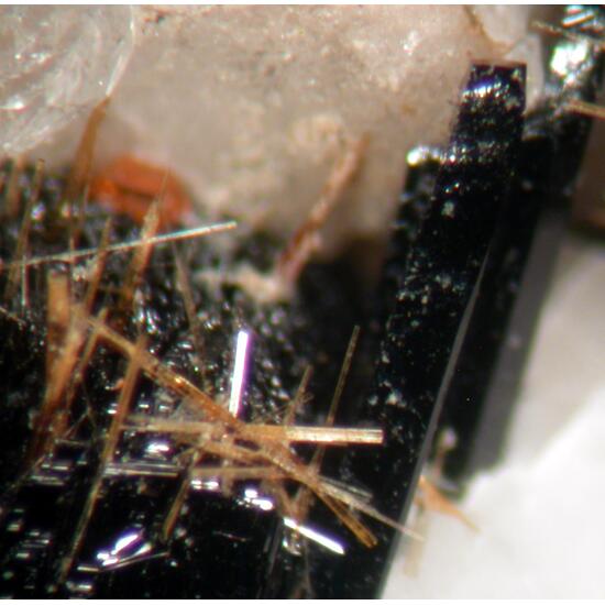 Steacyite Fluornatropyrochlore Zircon & Astrophyllite