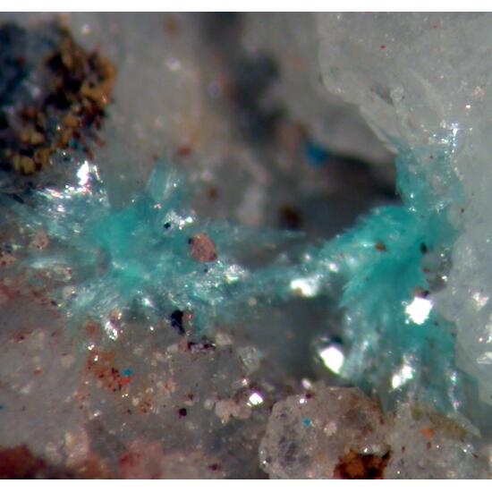 Devilline Connellite & Langite