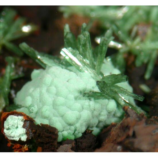 Olivenite & Agardite-(Ce)