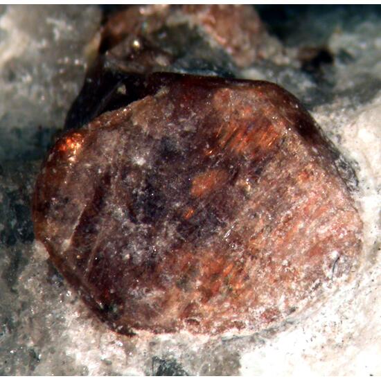 Monazite-(Ce)