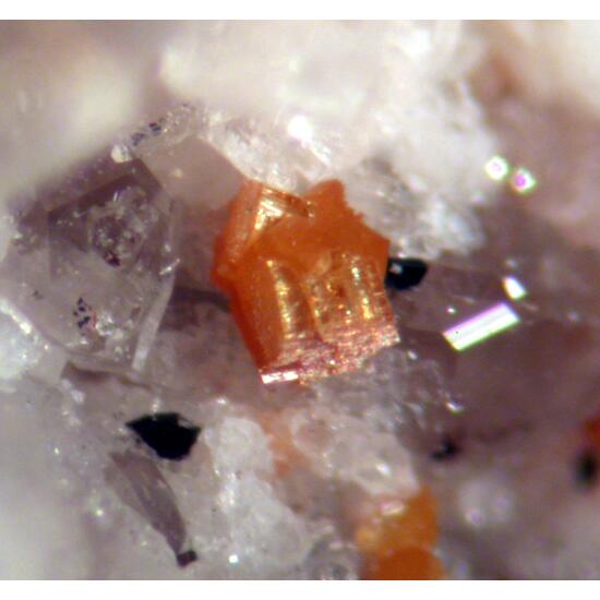 Aeschynite-(Y) & Allanite-(Ce)