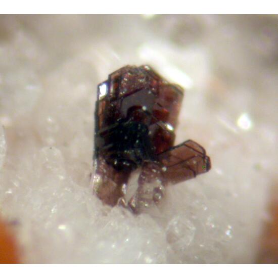 Aeschynite-(Y) & Allanite-(Ce)