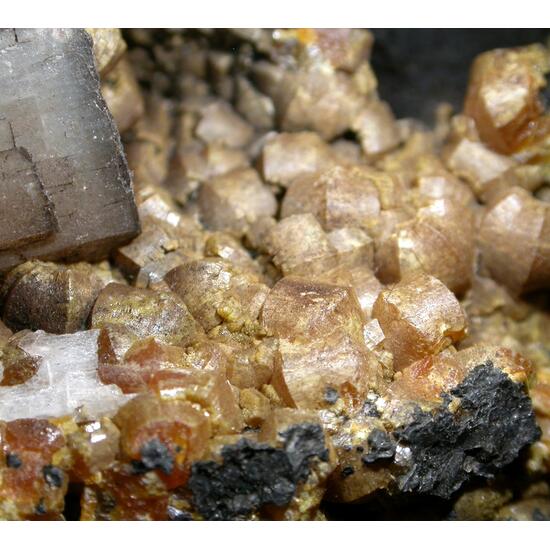 Campylite & Calcite