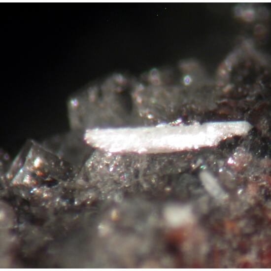 Sellaite & Fluoro-richterite