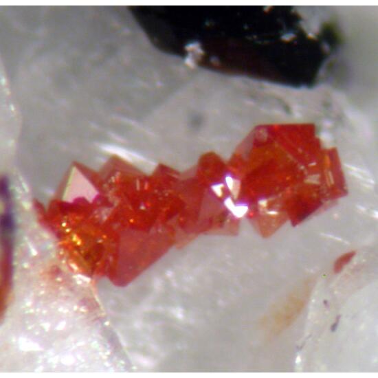 Vlasovite & Fluornatropyrochlore