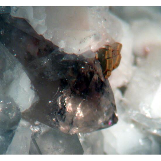 Euxenite-(Y) & Smoky Quartz