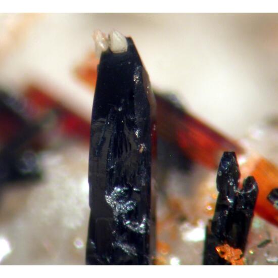 Astrophyllite Zircon Aegirine & Ilmenite