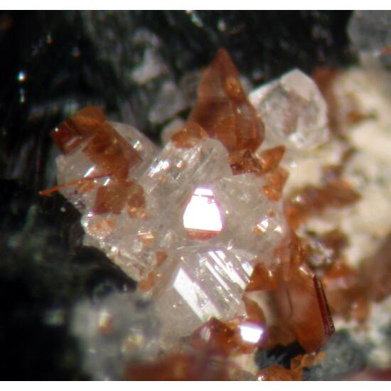 Monazite-(Ce) Anatase & Albite