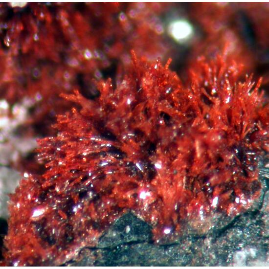 Kastningite Bermanite Strengite & Frondelite