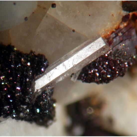 Apatite Pyrite & Siderite