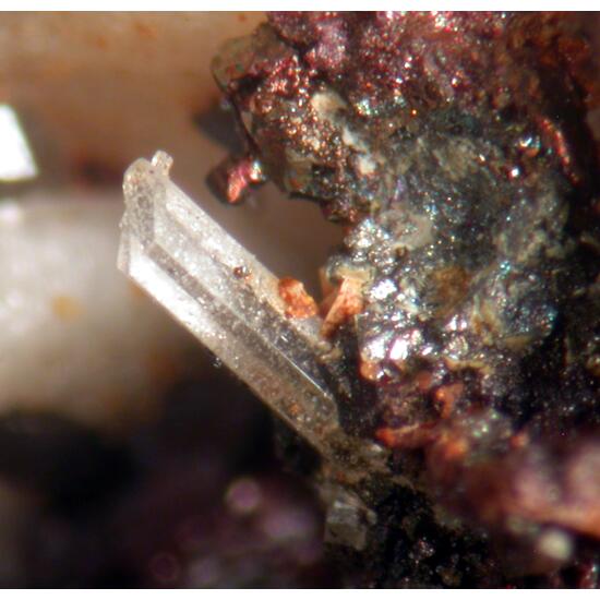 Apatite Pyrite & Siderite